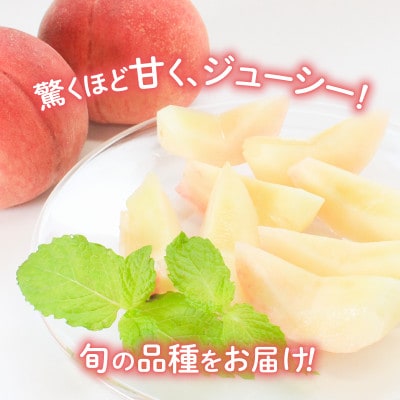【6月下旬～7月中旬発送】 訳あり 飯山の桃 約2kg(7玉～9玉)