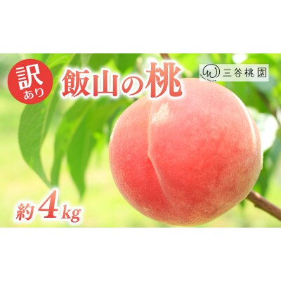 【6月下旬～7月中旬発送】訳あり品 飯山の桃 約4kg(13玉～15玉)