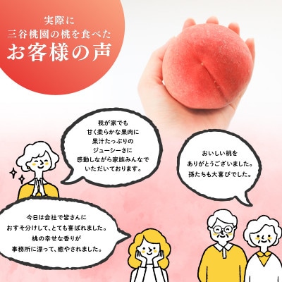 【6月下旬～7月中旬発送】訳あり品 飯山の桃 約4kg(13玉～15玉)