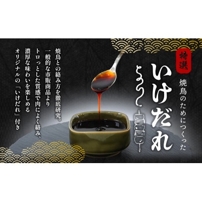 讃岐桜鮮どり 焼き鳥 ももねぎ串セット計30本 タレ1本付き 冷凍