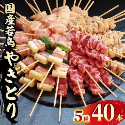 親鳥 焼鳥セット 40本 5種 各8本 タレなし 国産 (親もも 親ねぎ はつもと ぼんじり 親皮)