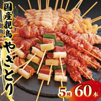 親鳥 焼鳥セット 60本5種 各12本 タレなし 国産 (親もも 親ねぎ はつもと ぼんじり 親皮)