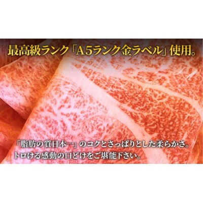 みそしゃぶセット A5 オリーブ牛 切り落とし約360g 讃岐うどん2～3人前 香川県丸亀市