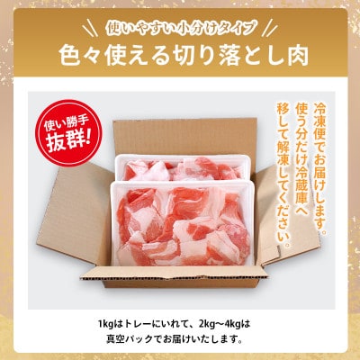 国産豚肉 切り落とし 約3kg (500g×6パック) 香川県丸亀市