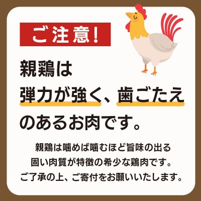 丸亀名物 おやわか 骨付鳥 親鳥 4本 冷蔵 国産
