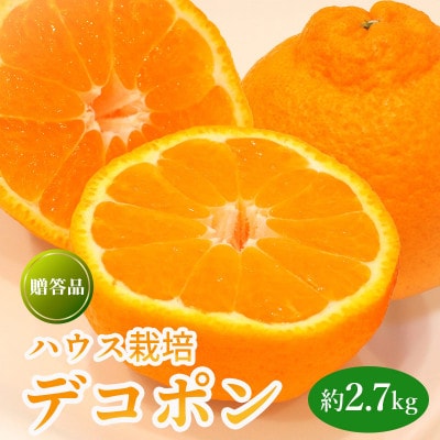 ハウス栽培 デコポン 約2.7kg 化粧箱入 冷蔵 香川県 丸亀市 発送:1月下旬～
