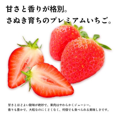 いちご さぬきひめ 約500g  (約250g×2パック)  冷蔵 発送:1月下旬～