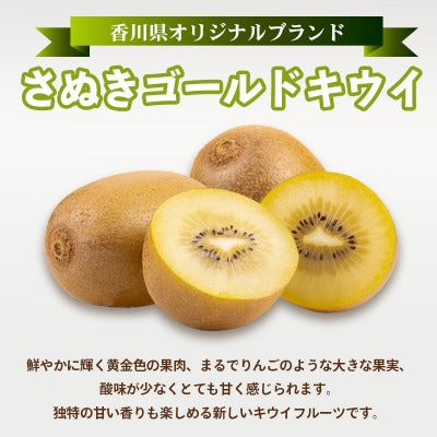 キウイフルーツ さぬきゴールド 約1.3kg 冷蔵 香川県 丸亀市　発送:10月中旬～