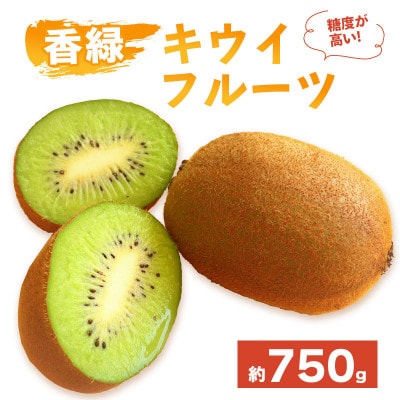 キウイフルーツ 香緑 約750g 常温 香川県 丸亀市