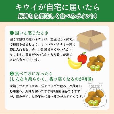 キウイフルーツ 香緑 約750g 常温 香川県 丸亀市