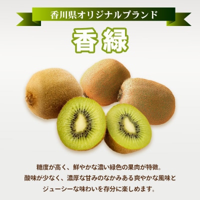 キウイフルーツ 香緑 約1.2kg 冷蔵 香川県 丸亀市