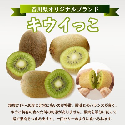 キウイフルーツ キウイっこ 約1.8kg 冷蔵 香川県 丸亀市 発送:10月下旬～