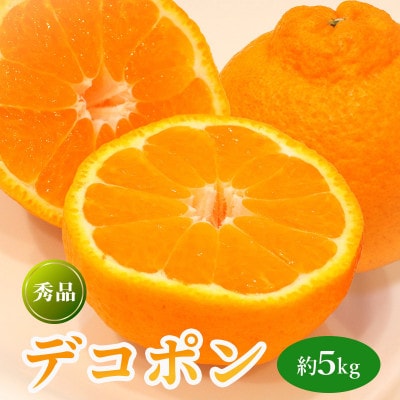 デコポン 約5kg 冷蔵 香川県 丸亀市 フルーツ 発送:3月上旬～