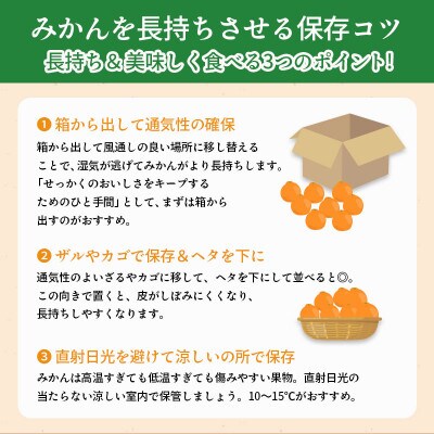 小原紅早生みかん 約1.2kg 常温 香川県 丸亀市 フルーツ 発送:2026年11月下旬～