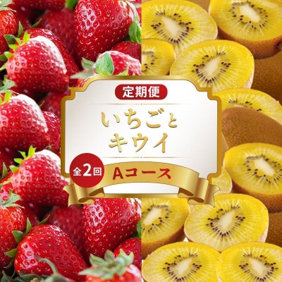 【発送月固定定期便】フルーツ定期便 Aコース(いちご  キウイ) 香川県 丸亀市全2回