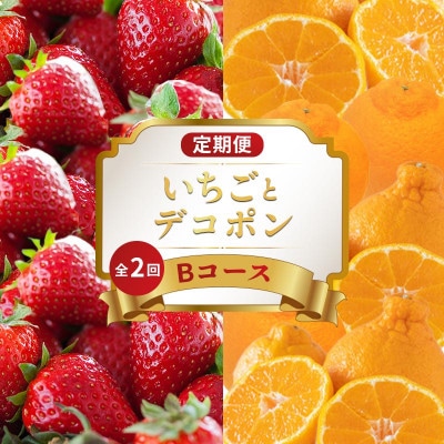 【発送月固定定期便】フルーツ定期便 Bコース (いちご デコポン) 香川県丸亀市全2回