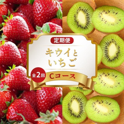 【発送月固定定期便】フルーツ定期便 Cコース (香緑キウイ いちご)香川県丸亀市全2回
