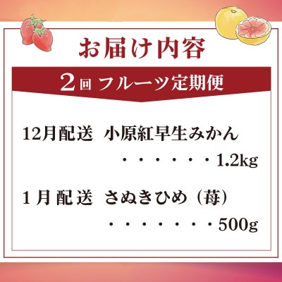 【発送月固定定期便】フルーツ定期便 Dコース(みかん いちご) 香川県 丸亀市全2回