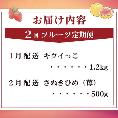 【発送月固定定期便】フルーツ定期便 Eコース(キウイ いちご) 香川県 丸亀市全2回