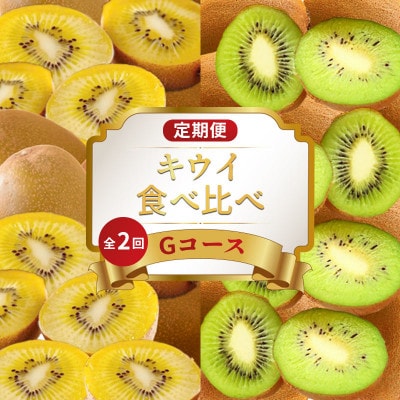 【発送月固定定期便】フルーツ定期便 Gコース (ゴールドキウイ 香緑キウイ)全2回