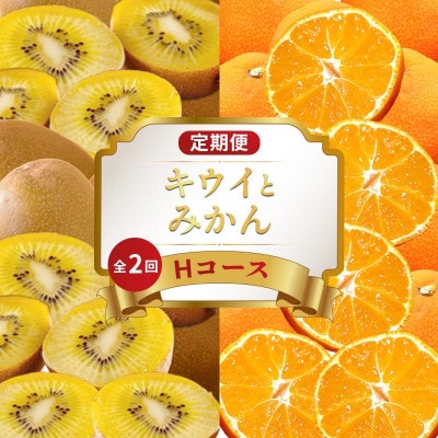【発送月固定定期便】フルーツ定期便 Hコース (小原紅早生みかん ゴールドキウイ)全2回