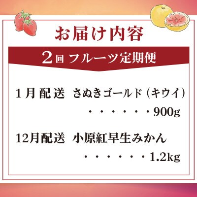 【発送月固定定期便】フルーツ定期便 Hコース (小原紅早生みかん ゴールドキウイ)全2回