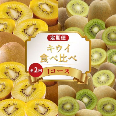 【発送月固定定期便】フルーツ定期便 Iコース(ゴールドキウイ キウイっこ)全2回
