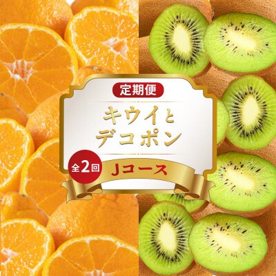 【発送月固定定期便】フルーツ定期便 Jコース (香緑キウイ デコポン)全2回