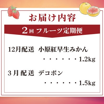 【発送月固定定期便】フルーツ定期便 Kコース(小原紅早生みかん デコポン)全2回