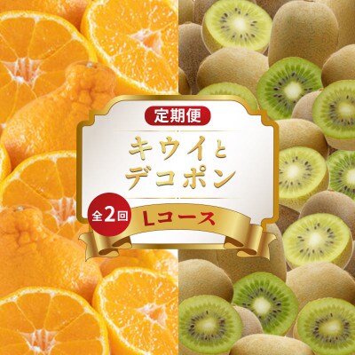 【発送月固定定期便】フルーツ定期便 Lコース (キウイっこ デコポン)全2回