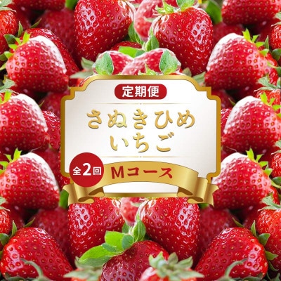 【発送月固定定期便】フルーツ定期便 Mコース(いちご　さぬきひめ)全2回