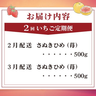 【発送月固定定期便】フルーツ定期便 Mコース(いちご　さぬきひめ)全2回