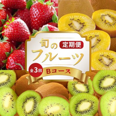 【発送月固定定期便】フルーツ定期便 Bコース(ゴールドキウイ いちご 香緑キウイ)全3回