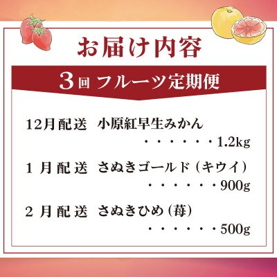【発送月固定定期便】フルーツ定期便 Cコース(ゴールドキウイ いちご 小原紅早生みかん)全3回全3回
