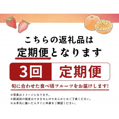 【発送月固定定期便】フルーツ定期便 Eコース(ゴールドキウイ 香緑キウイ デコポン)全3回