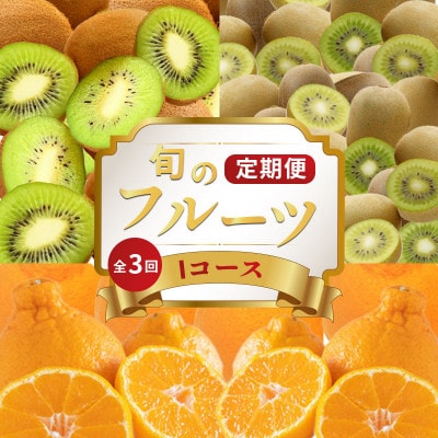 【発送月固定定期便】フルーツ定期便 Iコース(香緑キウイ キウイっこ デコポン)全3回