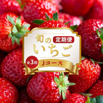 【発送月固定定期便】フルーツ定期便 Jコース(さぬきひめ)全3回