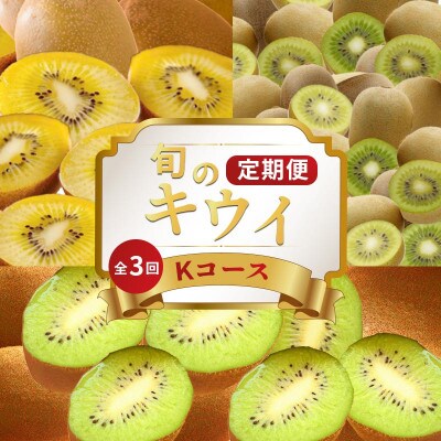 【発送月固定定期便】フルーツ定期便 Kコース(ゴールドキウイ キウイっこ 香緑キウイ)全3回