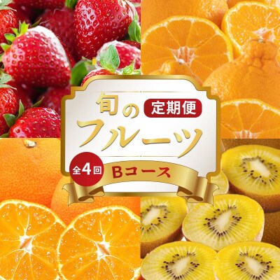 【発送月固定定期便】フルーツ定期便 Bコース(ゴールドキウイ いちご デコポン みかん)全4回