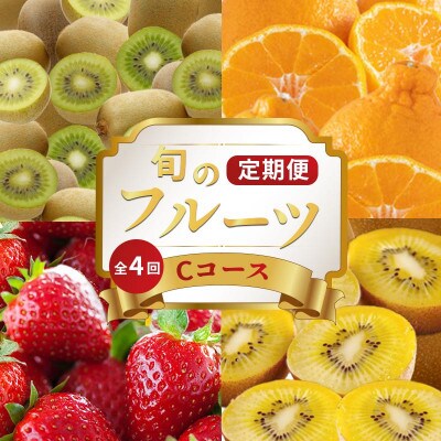 【発送月固定定期便】フルーツ定期便 Cコース(ゴールドキウイ キウイっこ デコポン いちご)全4回