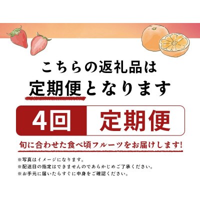 【発送月固定定期便】フルーツ定期便 Cコース(ゴールドキウイ キウイっこ デコポン いちご)全4回