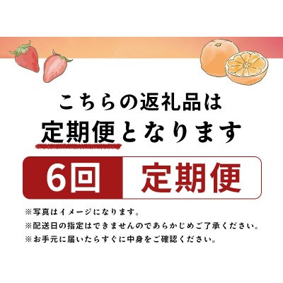 【発送月固定定期便】フルーツ定期便 Aコース(キウイ デコポン いちご 小原紅早生みかん)全6回