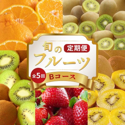 【発送月固定定期便】フルーツ定期便 Bコース  (キウイ3種 デコポン いちご)全5回