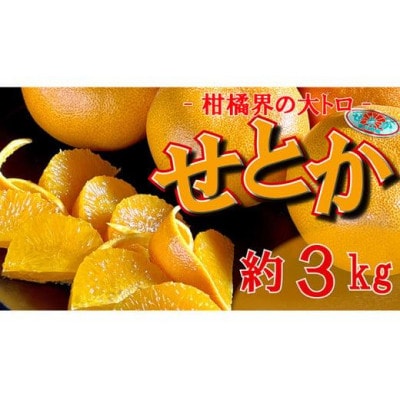 【2026年2月以降発送予定】 せとか 約3kg 柑橘界の大トロ 香川県 丸亀市産