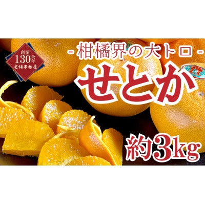 【2027年2月中旬以降発送予定】 せとか 約3kg 柑橘界の大トロ 香川県 丸亀市産
