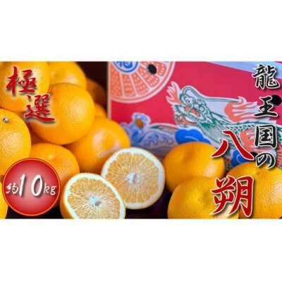 【2026年3月中旬より順次発送】【極選】 龍王国の八朔 約10kg 香川県 丸亀市産