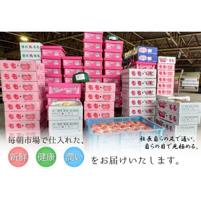 【2026年3月中旬より順次発送】【極選】 龍王国の八朔 約10kg 香川県 丸亀市産