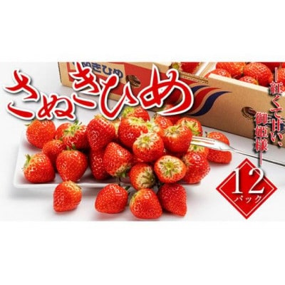 【2026年2月以降発送開始】【秀品】 いちご さぬきひめ 1パック約250g×12パック