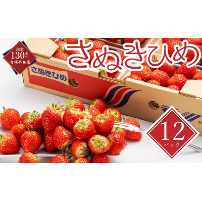 【2027年2月以降発送開始】いちご さぬきひめ 1パック約250g×12パック