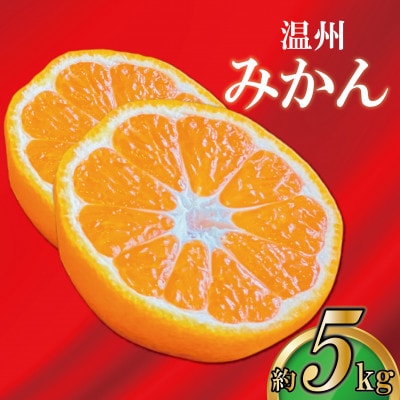 【2025年12月上旬より順次発送】【極撰】 温州みかん 約5kg 香川県 丸亀市産